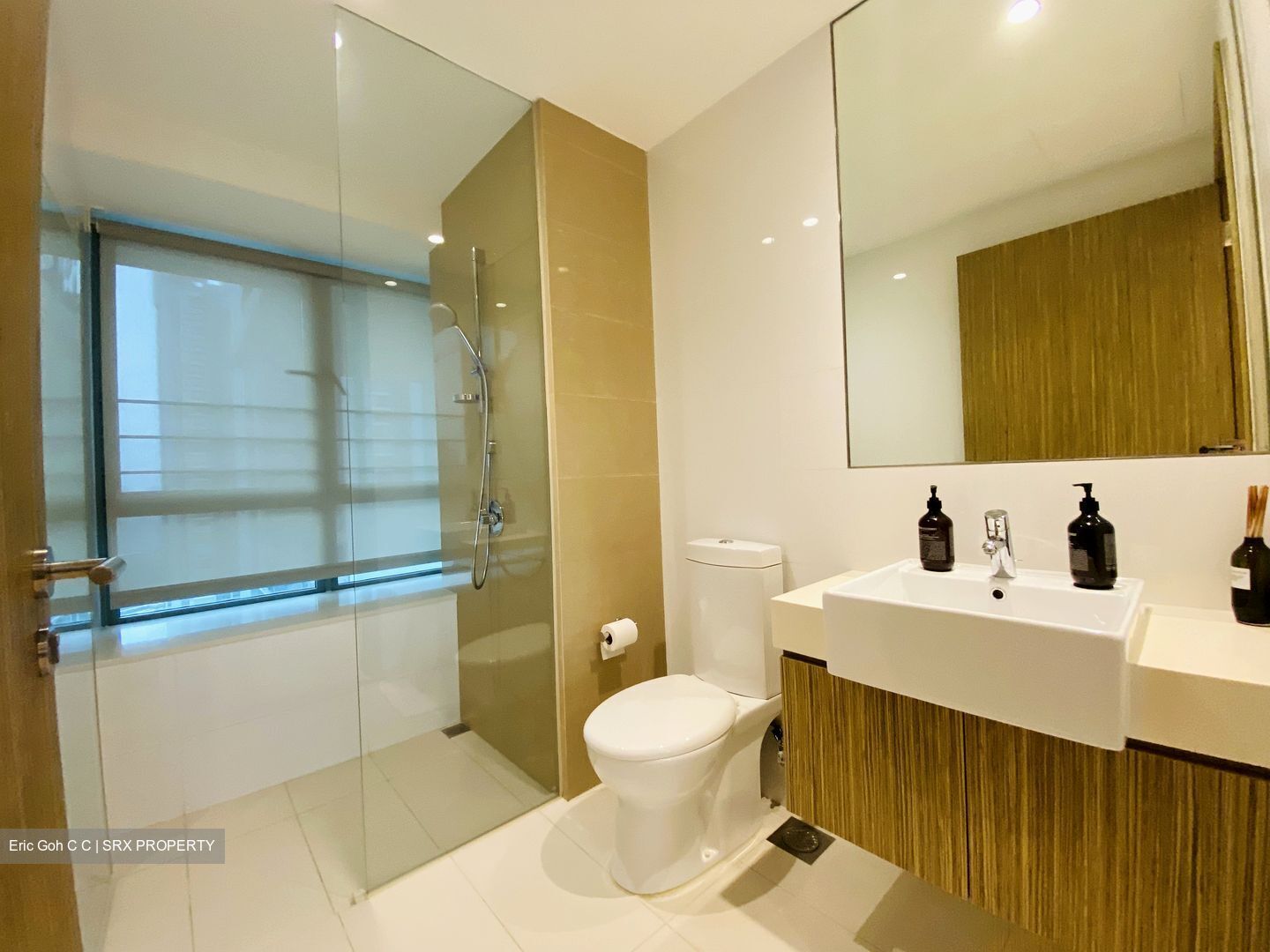 Trevista (D12), Condominium #341028561